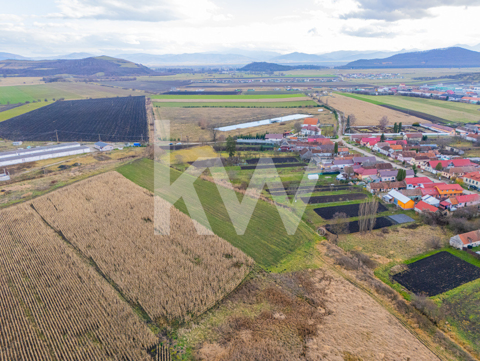 Teren 10000 mp in Extravilan, Bod, Brasov