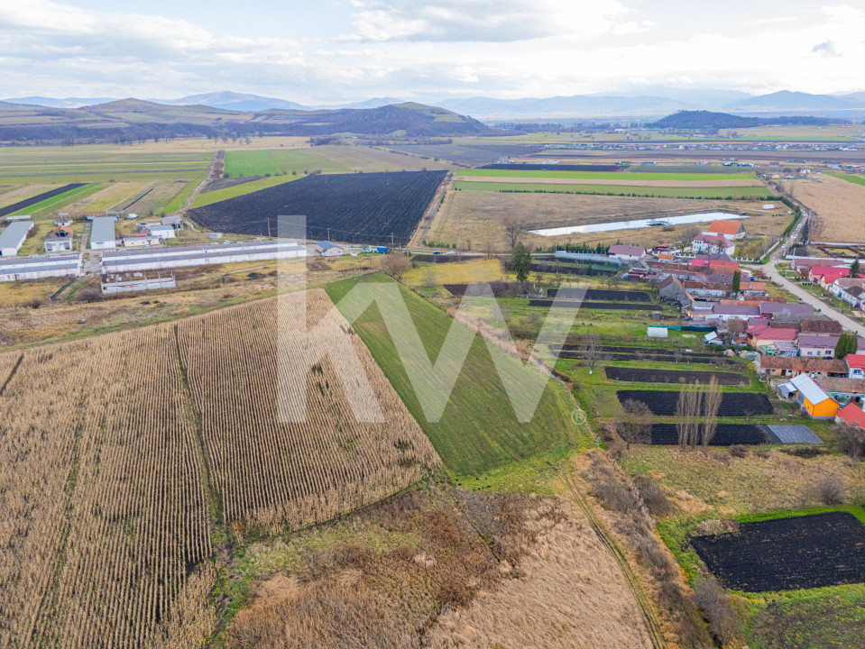 Teren 10000 mp in Extravilan, Bod, Brasov