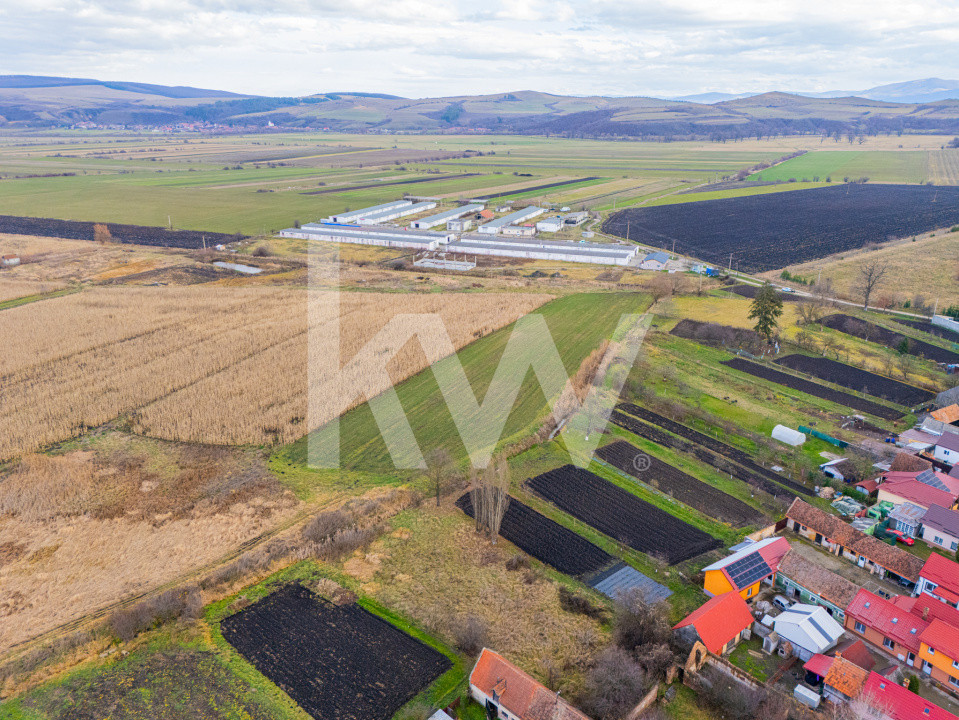 Teren 10000 mp in Extravilan, Bod, Brasov