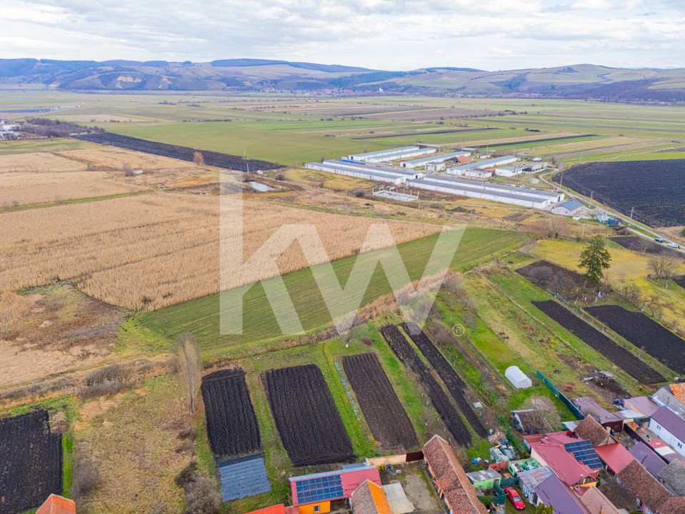 Teren 10000 mp in Extravilan, Bod, Brasov