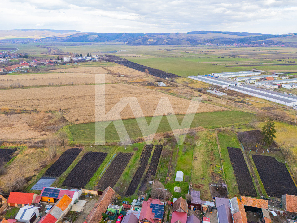 Teren 10000 mp in Extravilan, Bod, Brasov