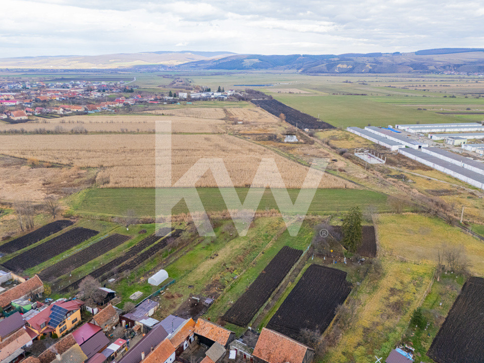 Teren 10000 mp in Extravilan, Bod, Brasov