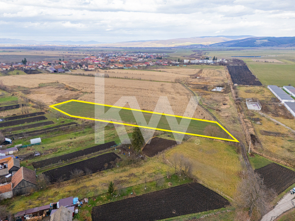 Teren 10000 mp in Extravilan, Bod, Brasov