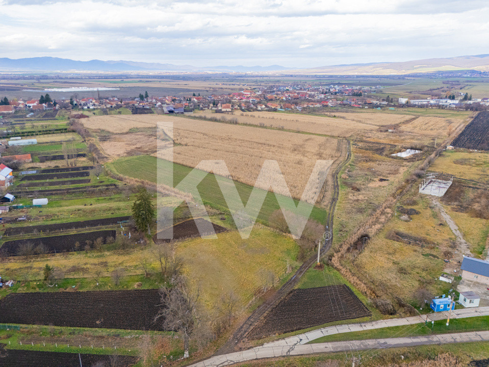 Teren 10000 mp in Extravilan, Bod, Brasov