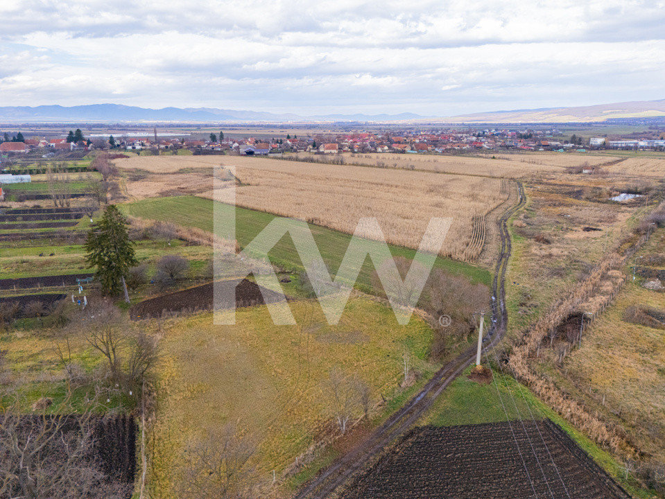 Teren 10000 mp in Extravilan, Bod, Brasov