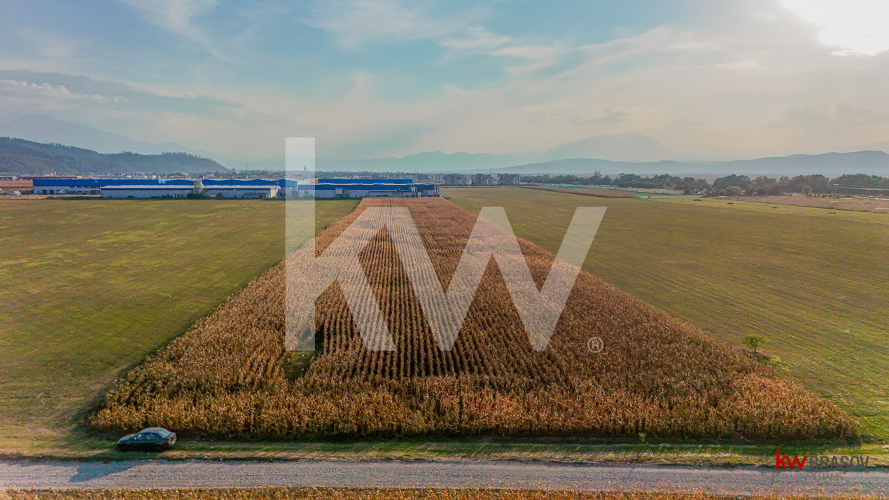 Teren industrial 6100 mp. cu PUZ in Cristian BV