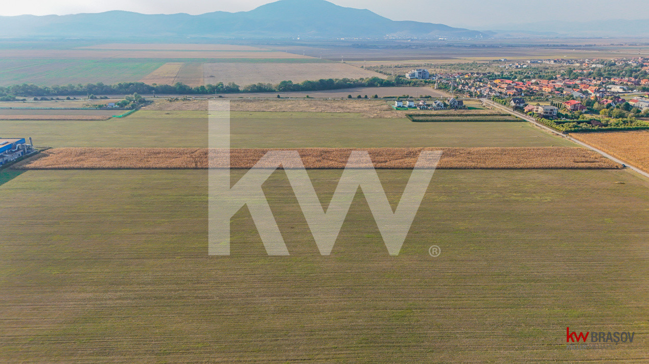 Teren industrial 6100 mp. cu PUZ in Cristian BV