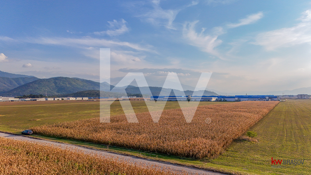 Teren industrial 6100 mp. cu PUZ in Cristian BV