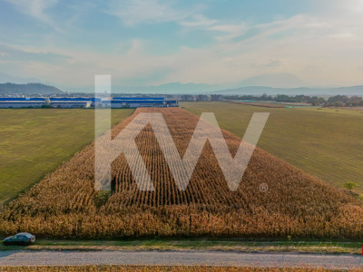 Teren industrial 6100 mp. cu PUZ in Cristian BV