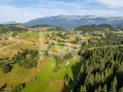 Teren de vânzare în Fundata, jud. Brașov – view superb, oportunitate investitie!