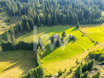 Teren de vânzare, Fundata, Brașov – view superb, investitie - COMISION 0%