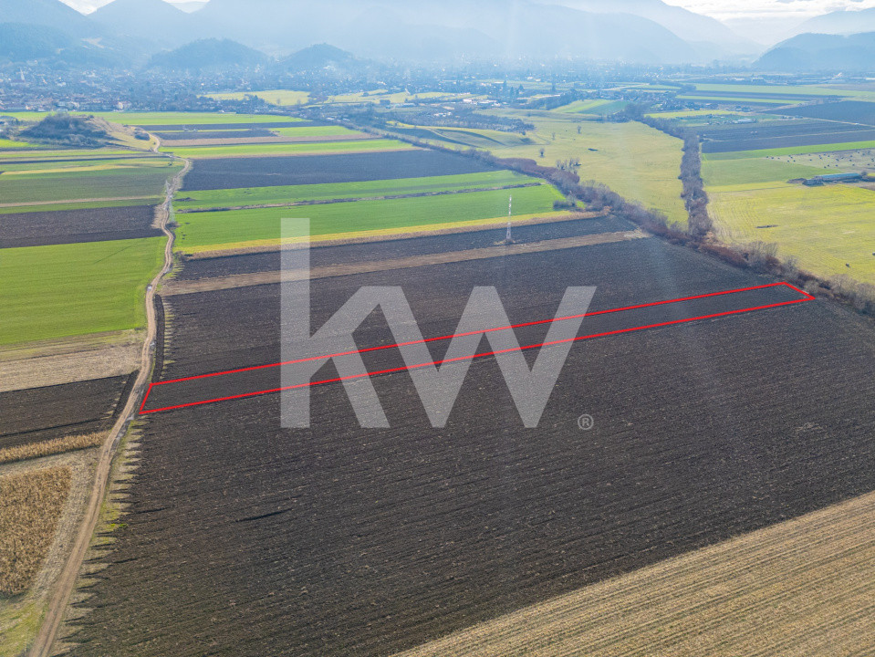 Teren extravilan în Sacele-3500mp, Comision cumparator 0%