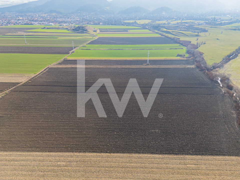 Teren extravilan în Sacele-3500mp, Comision cumparator 0%