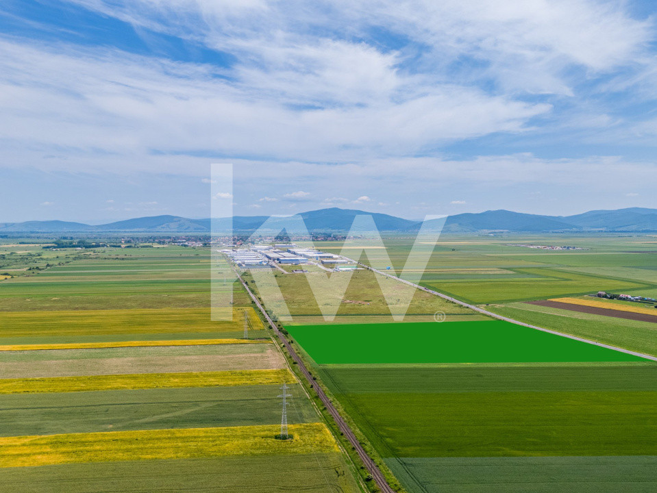 Teren de vanzare I 43 500 mp I Deschidere la drum - Harman