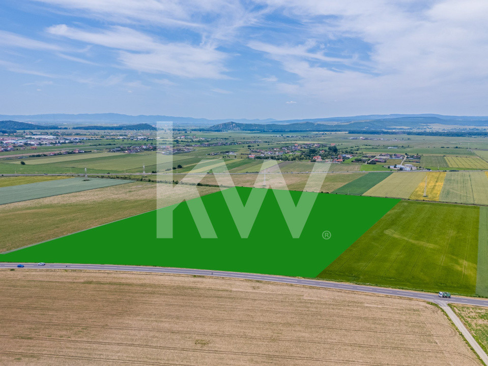 Teren de vanzare I 43 500 mp I Deschidere la drum - Harman