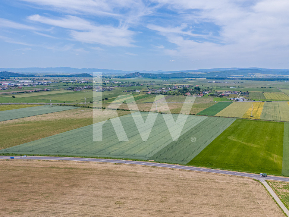 Teren de vanzare I 43 500 mp I Deschidere la drum - Harman