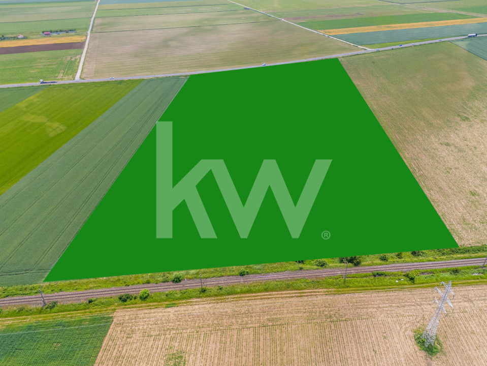 Teren de vanzare I 43 500 mp I Deschidere la drum - Harman