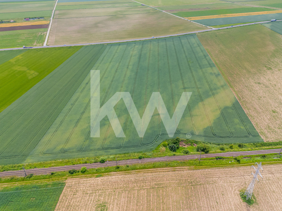 Teren de vanzare I 43 500 mp I Deschidere la drum - Harman