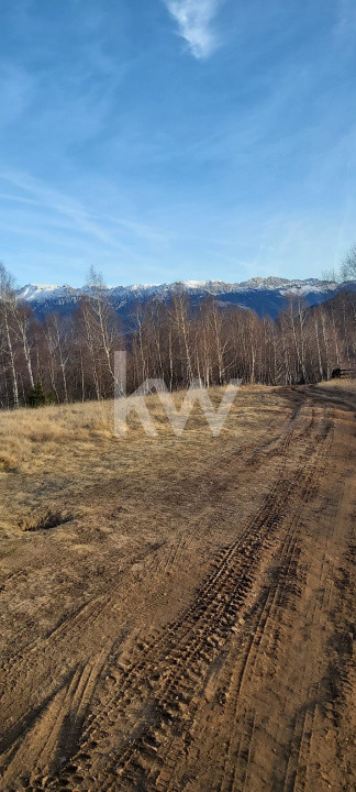 Teren de vanzare Sirnea- Comision 0%