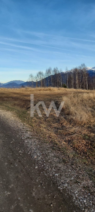 Teren de vanzare Sirnea- Comision 0%