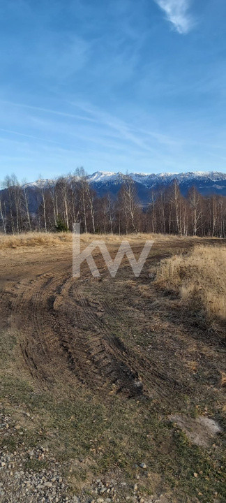 Teren de vanzare Sirnea- Comision 0%