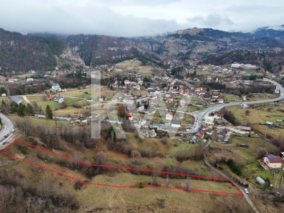 Teren intravilan Dambovicioara, Teren la munte 