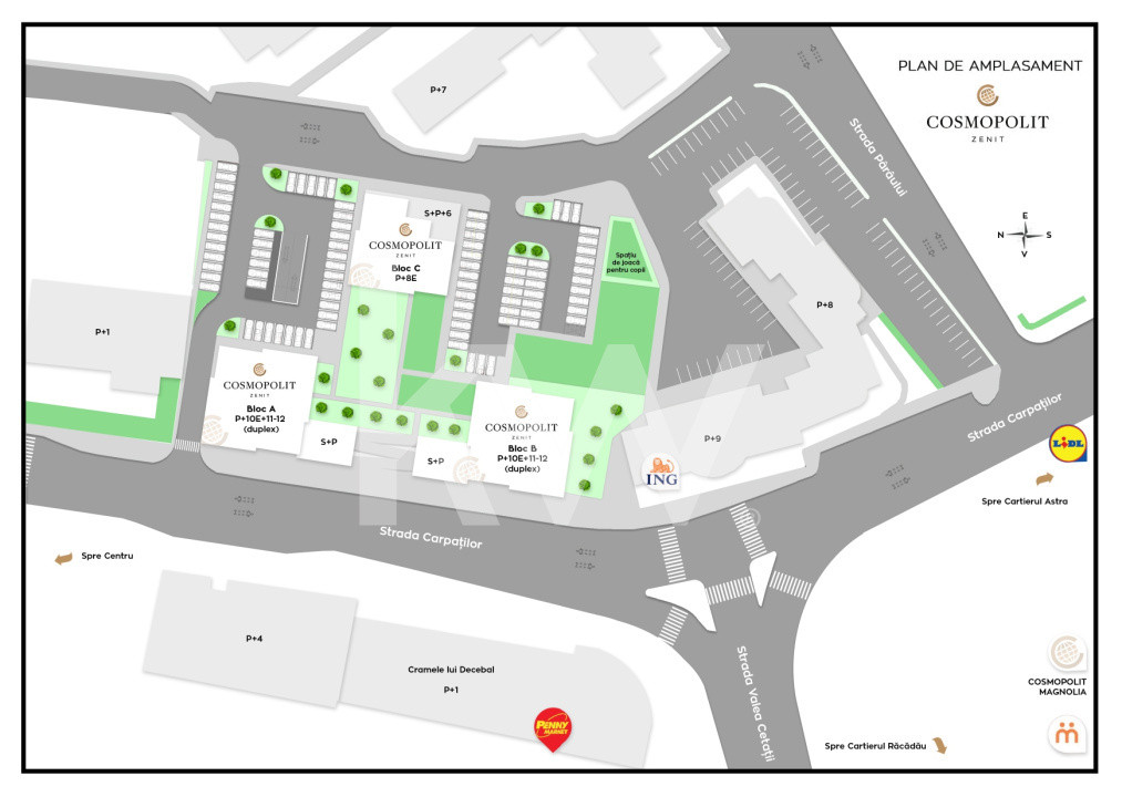Spatiu comercial Judetean-Carpatilor
