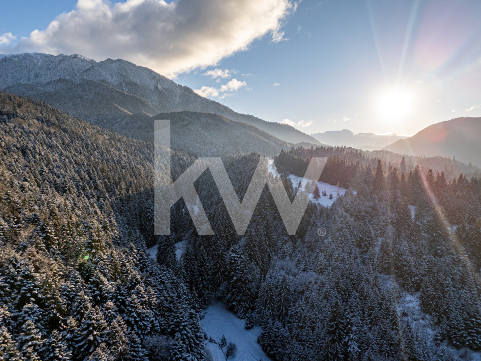 Teren pentru turism / complex vile la intrare în CANIONUL ȘAPTE SCĂRI