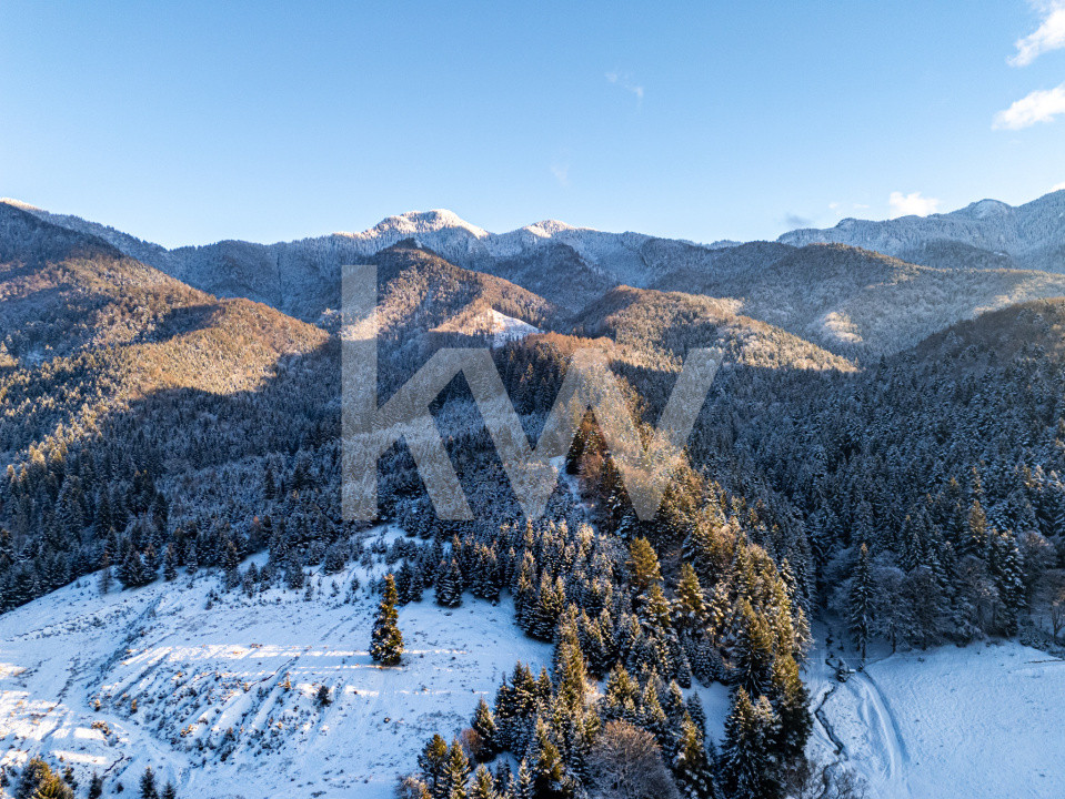 Teren pentru turism / complex vile la intrare în CANIONUL ȘAPTE SCĂRI