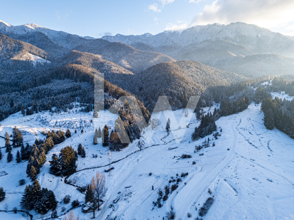 Teren pentru turism / complex vile la intrare în CANIONUL ȘAPTE SCĂRI