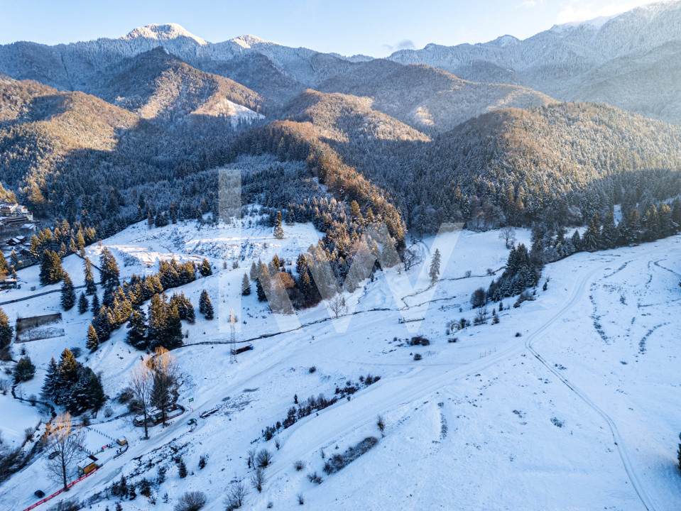 Teren pentru turism / complex vile la intrare în CANIONUL ȘAPTE SCĂRI