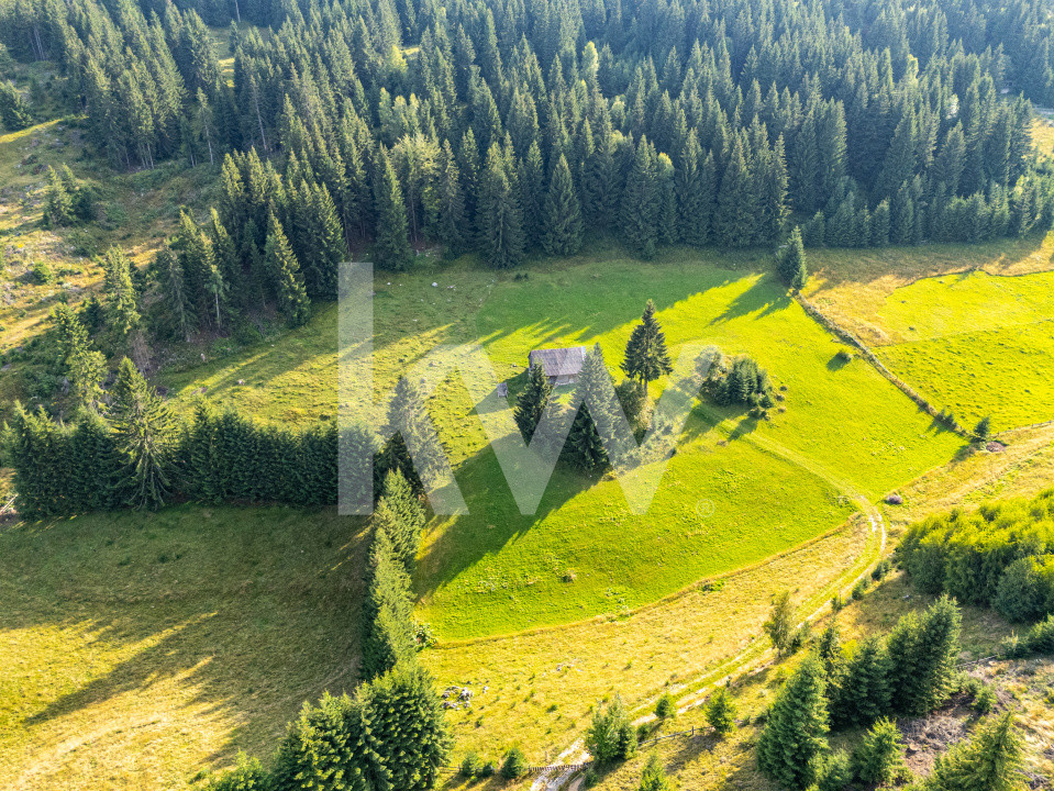 Teren de vânzare central, Fundata, Brasov, extravilan, intravilan, COMISION 0%