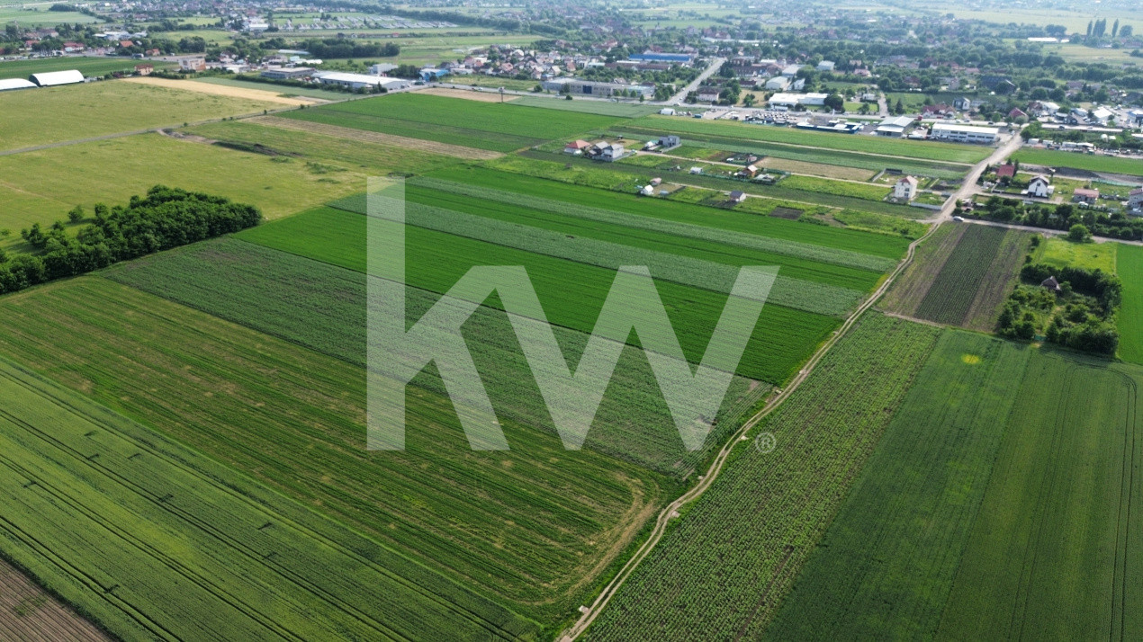 Teren intravilan 34.640 mp Stupini, str. Baciului-Luncii