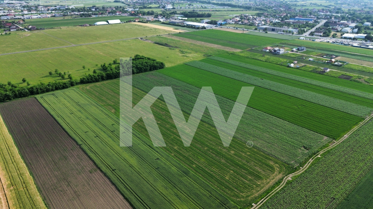 Teren intravilan 34.640 mp Stupini, str. Baciului-Luncii