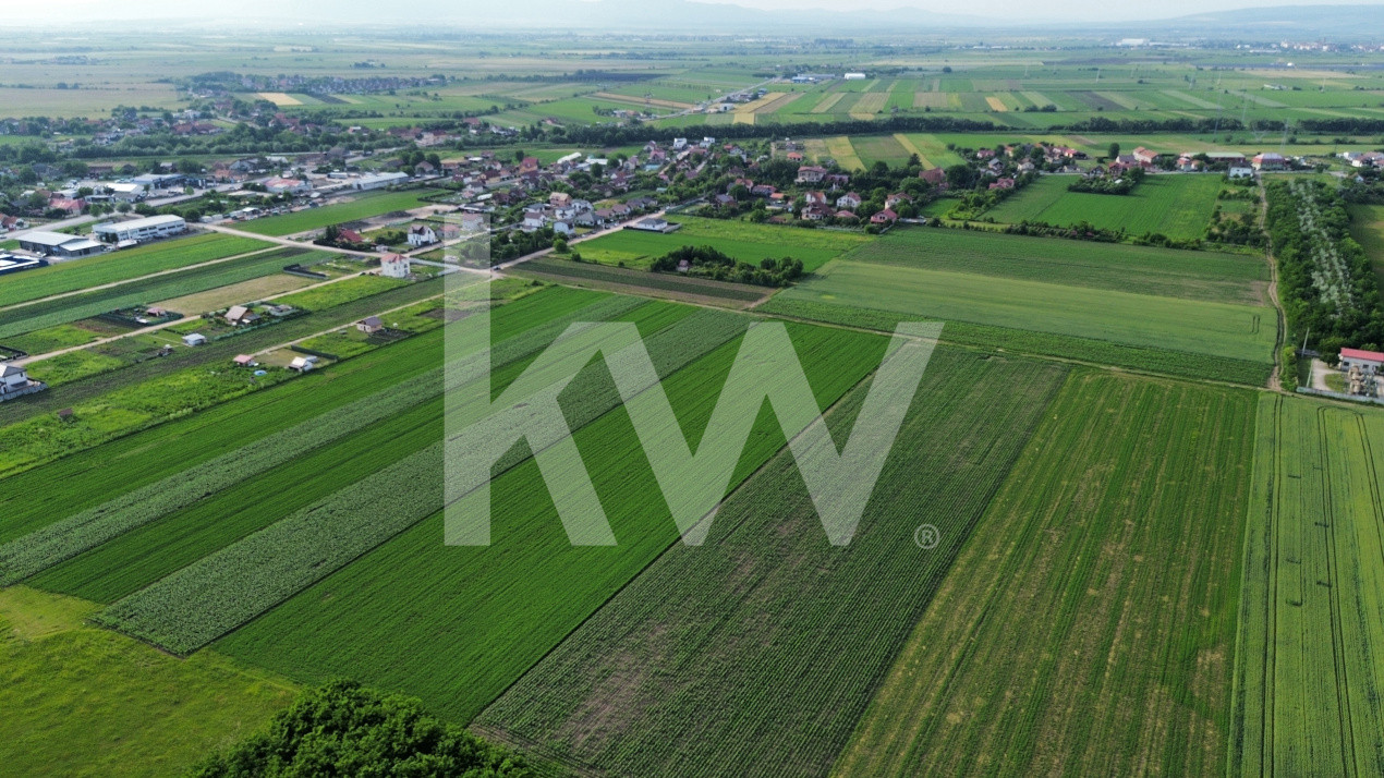 Teren intravilan 34.640 mp Stupini, str. Baciului-Luncii