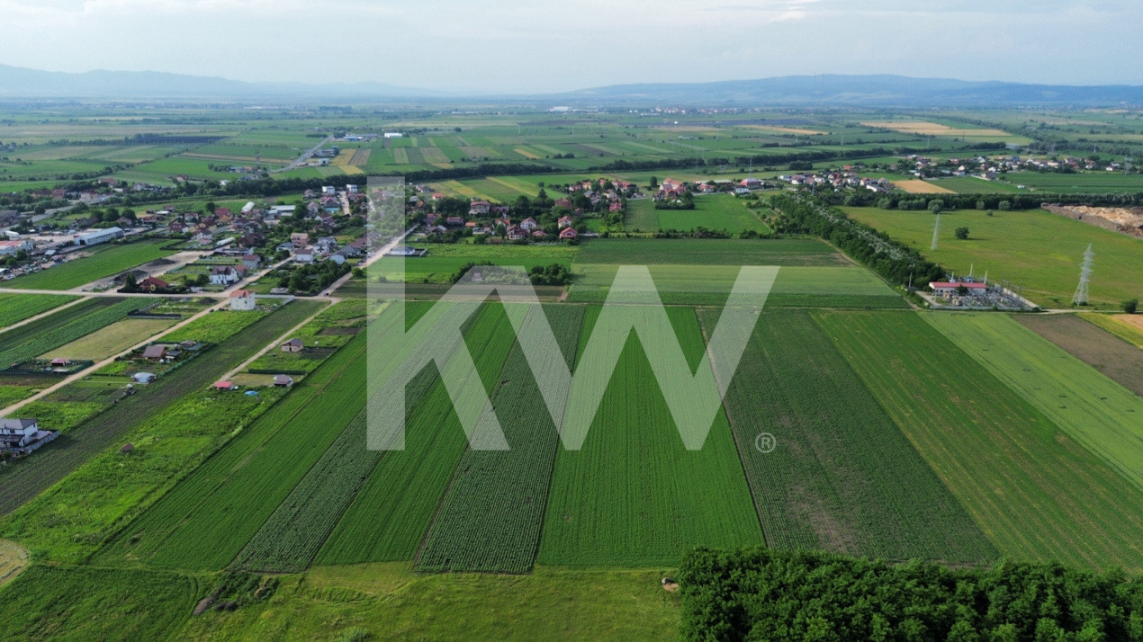 Teren intravilan 34.640 mp Stupini, str. Baciului-Luncii