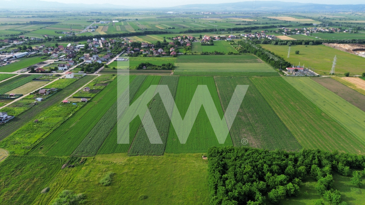 Teren intravilan 34.640 mp Stupini, str. Baciului-Luncii