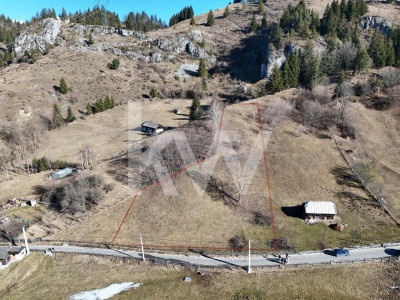 TEREN INTRAVILAN DE VANZARE / Comision 0%