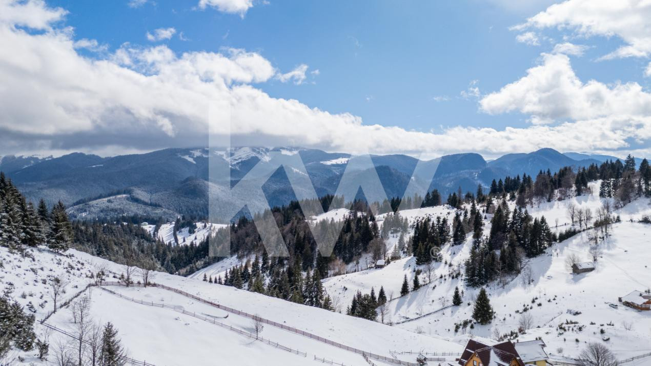 Oportunitate Investiție I Teren 4.000 mp în Fundata I 0% COMISION