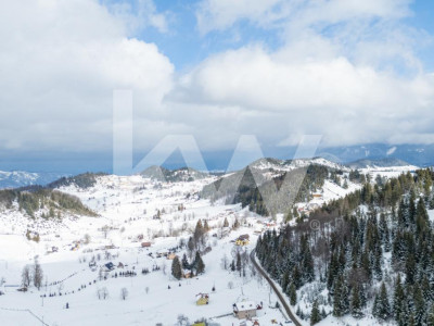 Oportunitate Investiție I Teren 4.000 mp în Fundata I 0% COMISION