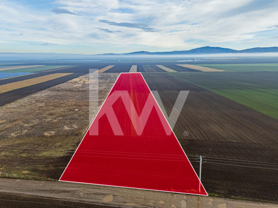 Teren exceptional pentru investitii industriale langa Brasov