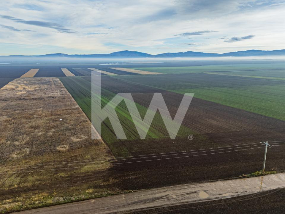 Teren exceptional pentru investitii industriale langa Brasov