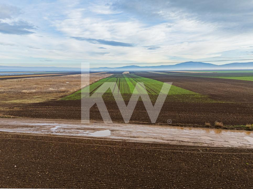 Teren exceptional pentru investitii industriale langa Brasov