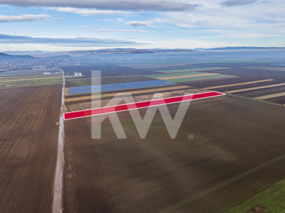 Teren exceptional pentru investitii industriale langa Brasov