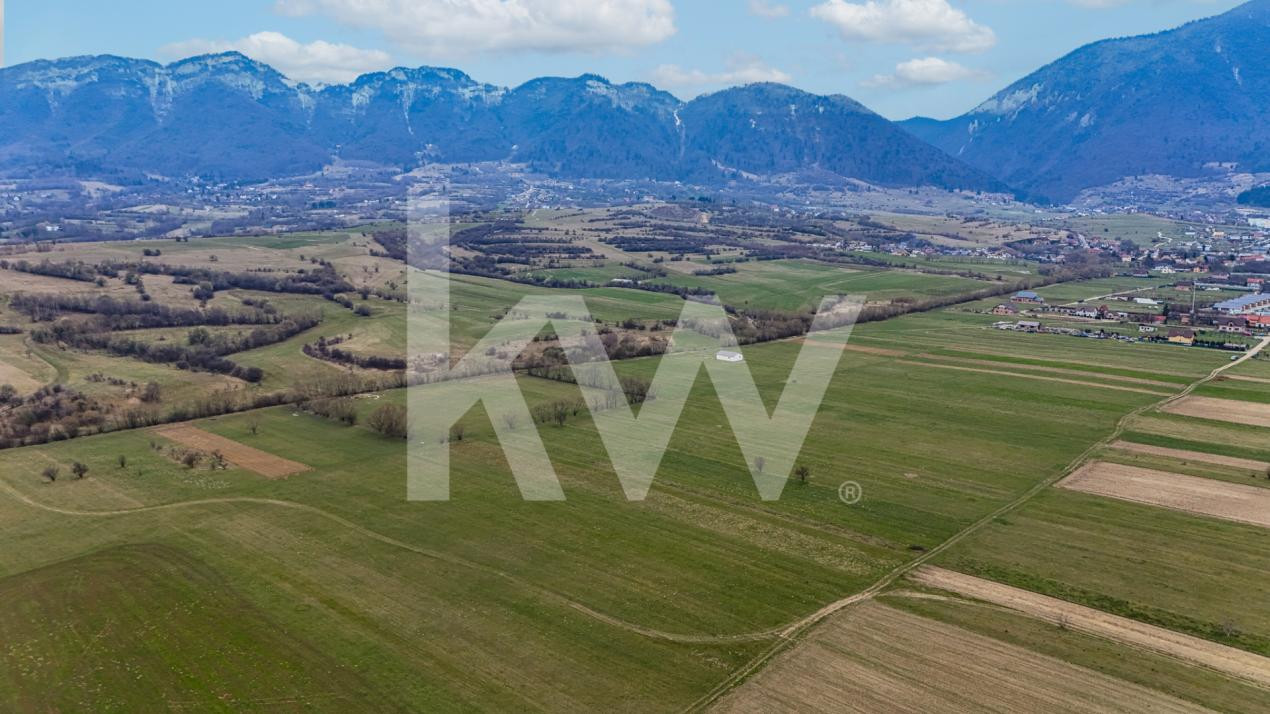 Oportunitate de investitie în Zarnesti I Teren intravilan 8557 mp