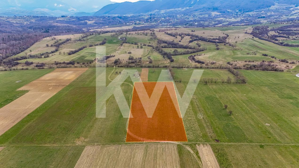 Oportunitate de investitie în Zarnesti I Teren intravilan 8557 mp