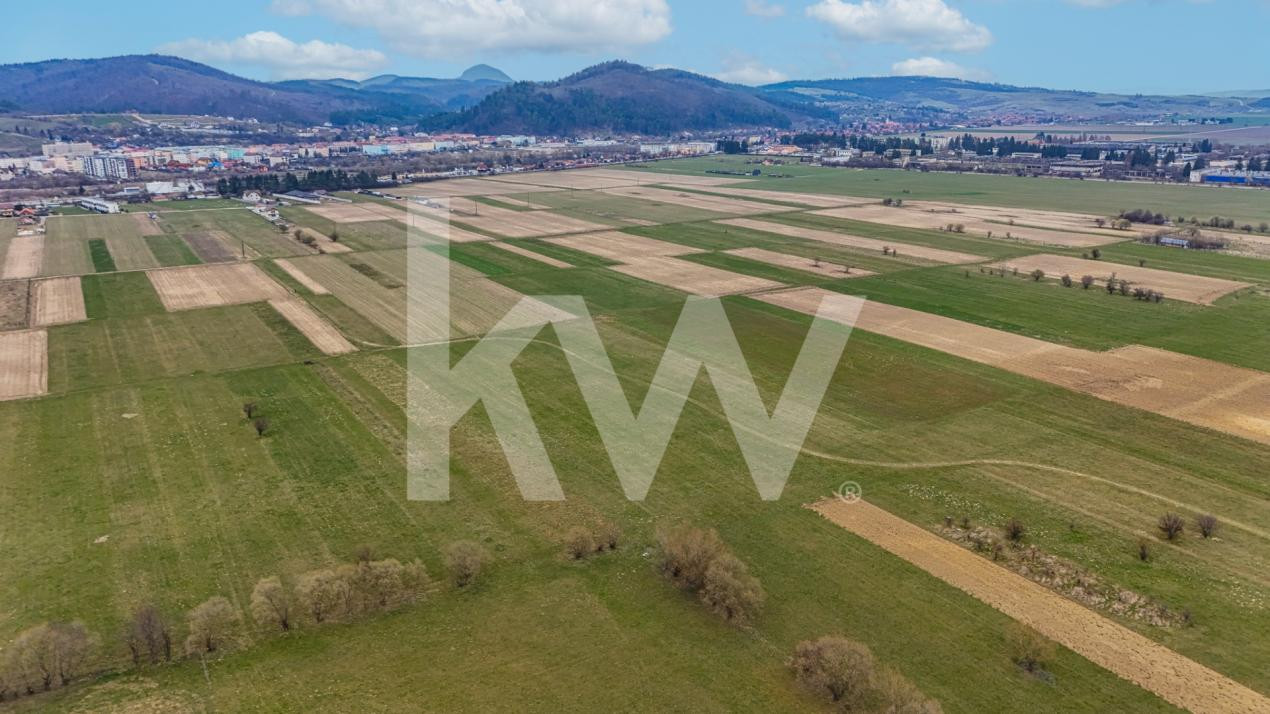 Oportunitate de investitie în Zarnesti I Teren intravilan 8557 mp