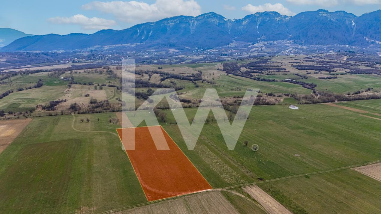 Oportunitate de investitie în Zarnesti I Teren intravilan 8557 mp