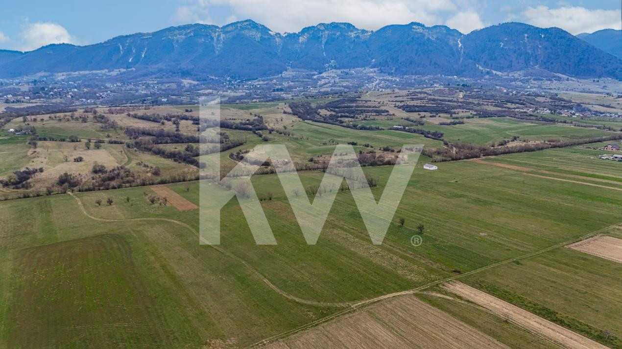 Oportunitate de investitie în Zarnesti I Teren intravilan 8557 mp