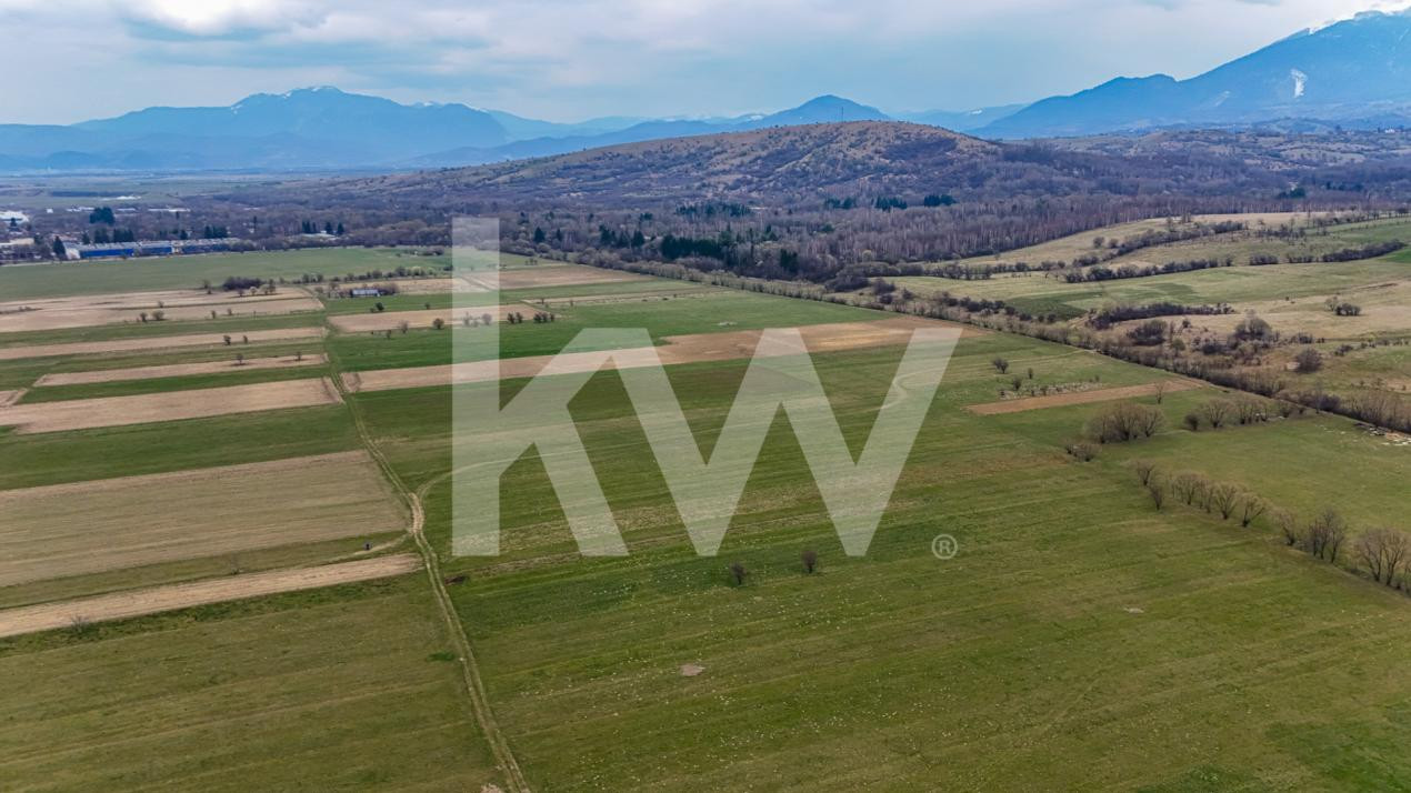 Oportunitate de investitie în Zarnesti I Teren intravilan 8557 mp